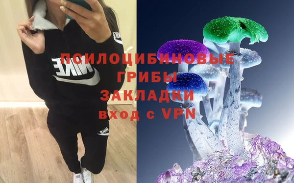 дурь Белокуриха
