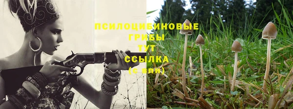 дурь Белокуриха